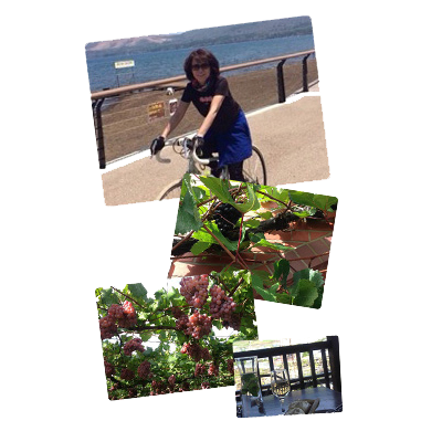 代表profile